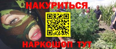ПСИЛОЦИБИНОВЫЕ ГРИБЫ Тара