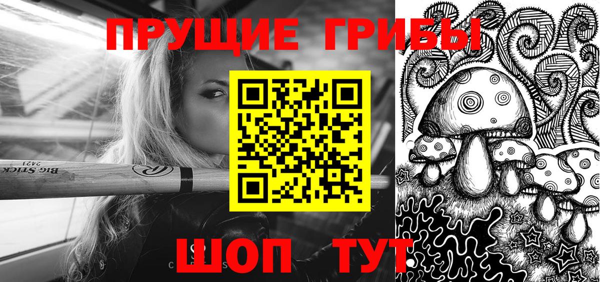 Псилоцибиновые грибы GOLDEN TEACHER  Вход с VPN  Мытищи 